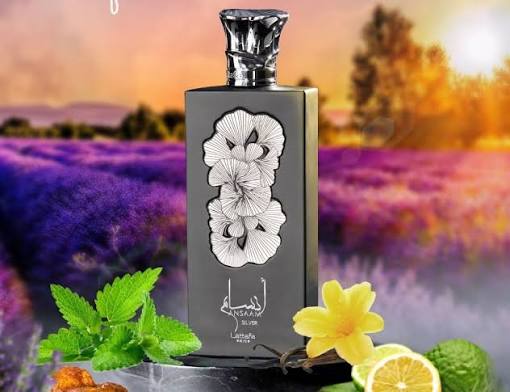 Lattafa Ansaam Silver Eau de Parfum 100 ml